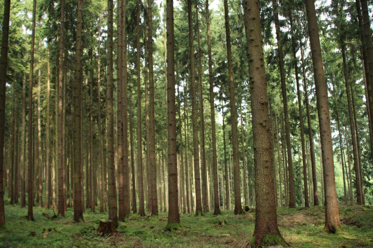 Ferienhaus "Gestiefelter Kater" Am See Im Bergland Kirchheim  Kültér fotó